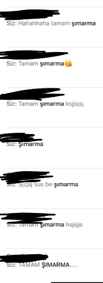 1747316576920.png