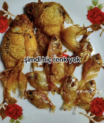 temp_image_FF13F06C-9281-4796-AD57-2C87AA2BB5AF.jpeg
