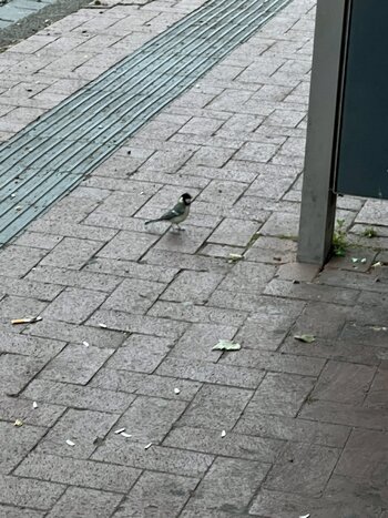 IMG_5732.jpeg IMG_5732.jpeg