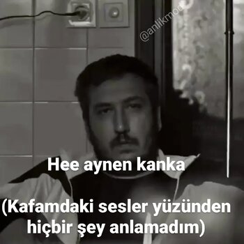 20250412_220500.jpg