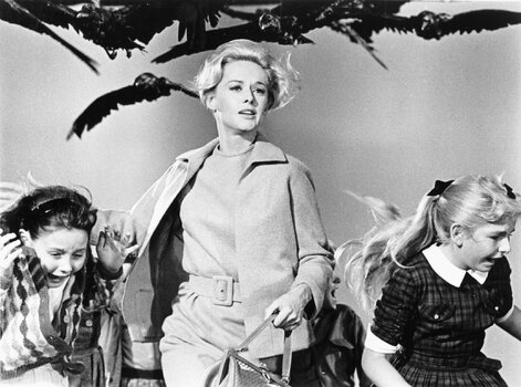 Tippi-Hedren-The-Birds-Alfred-Hitchcock.jpg Tippi-Hedren-The-Birds-Alfred-Hitchcock.jpg