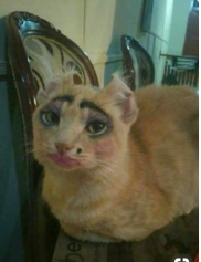 1748528619077.png