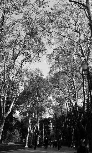 20210202_130934.jpg