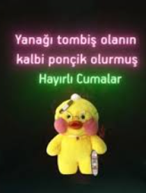 1751008995772.png