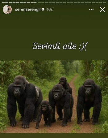 seren.jpg