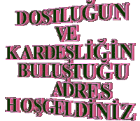 1752961498785.gif