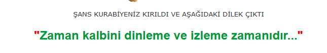 1753174382542.png