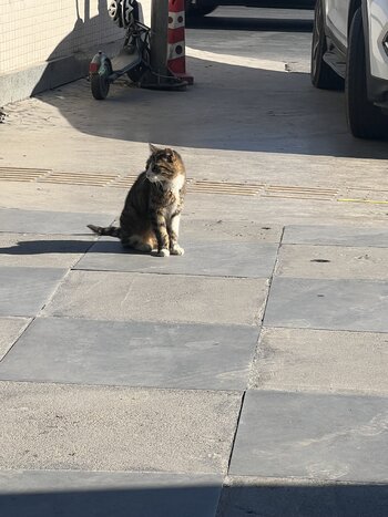 IMG_6351.jpeg