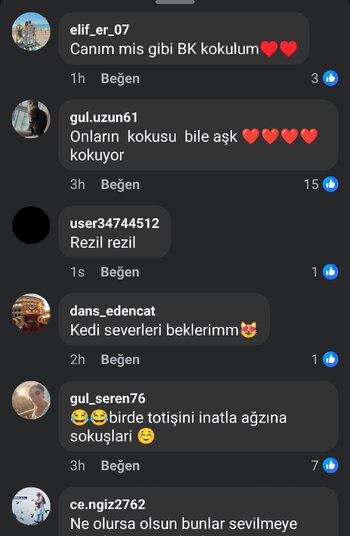 Screenshot_20250731-133627.jpg