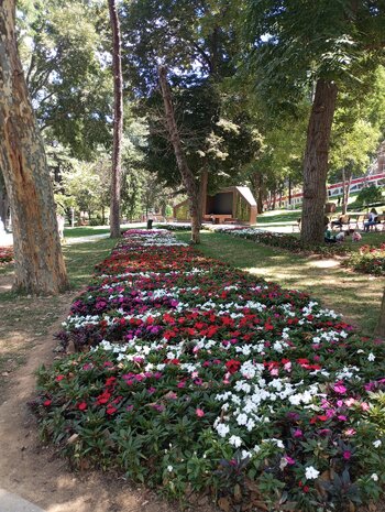 IMG_20250731_130818.jpg