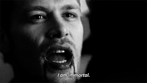 tumblr_mlxqjgkEv71rwuylqo1_500.gif tumblr_mlxqjgkEv71rwuylqo1_500.gif
