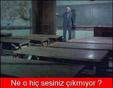 IMG_3967.jpeg