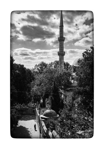 _DSC0953.jpeg