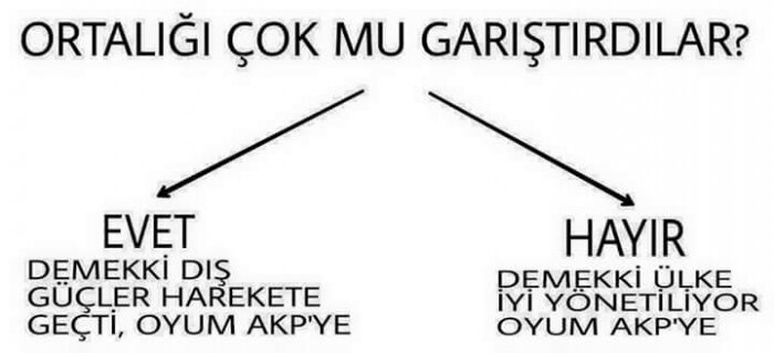 1.jpg 1.jpg