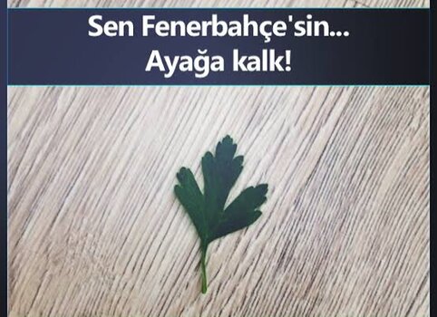 images-111.jpeg