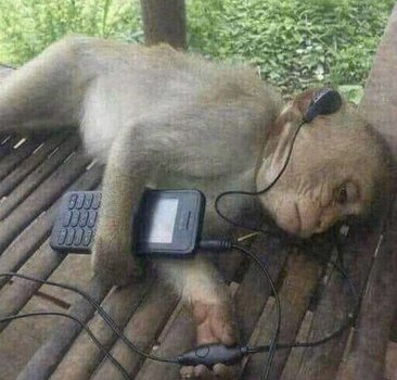 5dff0602d9d9570a6d4f9f9e44d4757d.jpg 5dff0602d9d9570a6d4f9f9e44d4757d.jpg