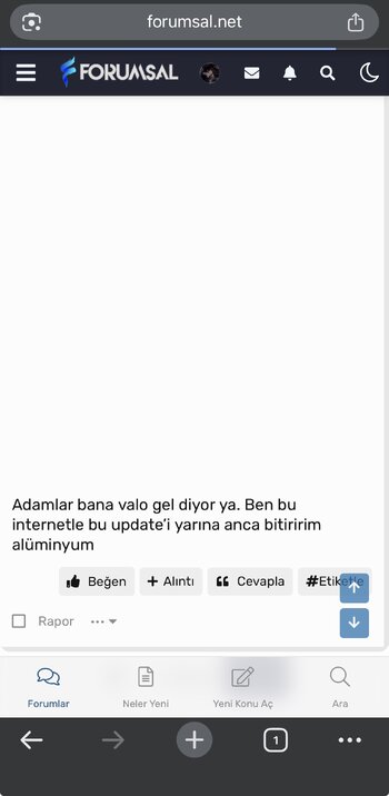 IMG_3987.jpeg IMG_3987.jpeg