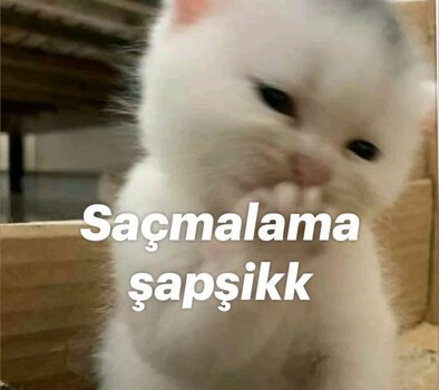 Saçmalama şapşikk.jpg Saçmalama şapşikk.jpg