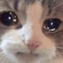1702326335478.png