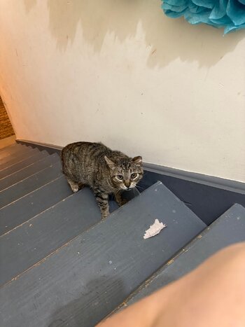 Upstairs plz.jpg