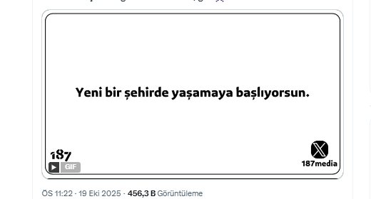 1761058331043.png