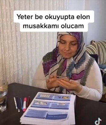 elon musakka.jpeg