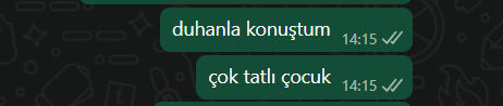 1763108583654.png