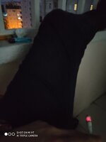 IMG_20200801_200343.jpg