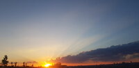 20200731_195157.jpg
