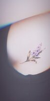 AirBrush_20200805165808.jpg