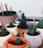 20200808_013121.jpg