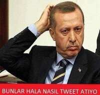 images (1).jpegvbb.jpg
