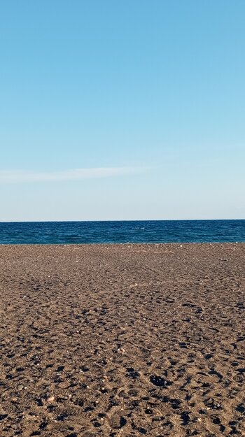 IMG_20251115_161308.jpg