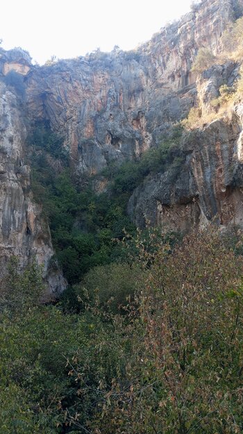 IMG_20251114_125837.jpg