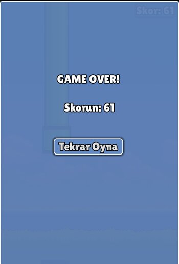 Screenshot_20251123_131026_Flappy Ebru.jpg
