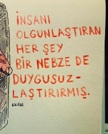 20250826_233834.jpg