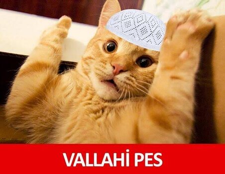 images-3.jpeg