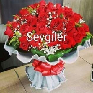 08f39f066bf482cd133d10510fdbe83e.jpg