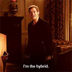 ji9b89px0ezb1.gif