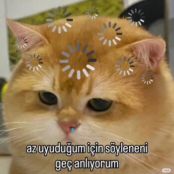 20251215_132024.jpg