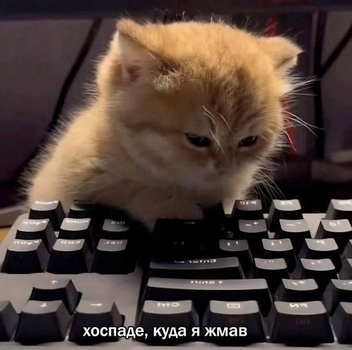 1765977052268.png 1765977052268.png