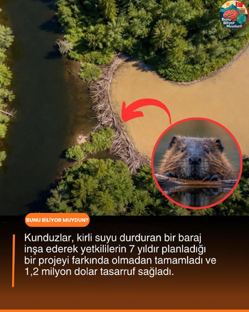 1766352938966.png 1766352938966.png