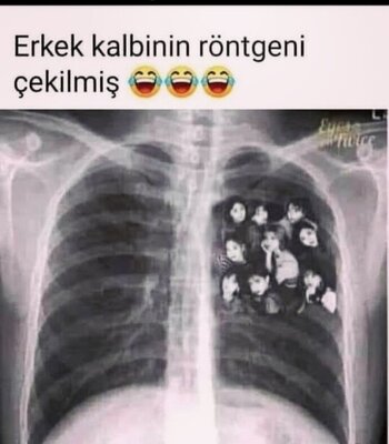 0bffba85.jpg