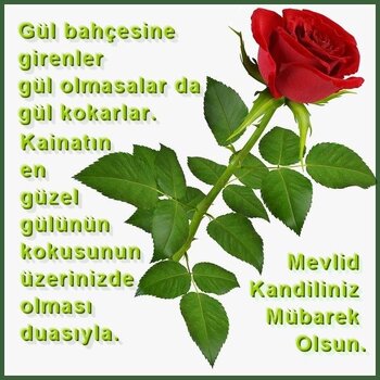 9b59c5c6d5899b6ab516533fa58a13a0.jpg