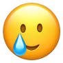 1766935451142.png