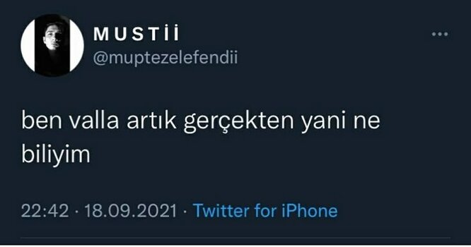 9398.jpg