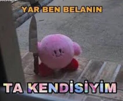 IMG_1979.jpeg
