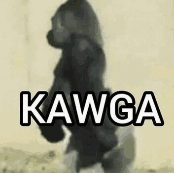 IMG_2826.jpeg