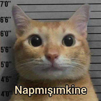 1768255322461.png