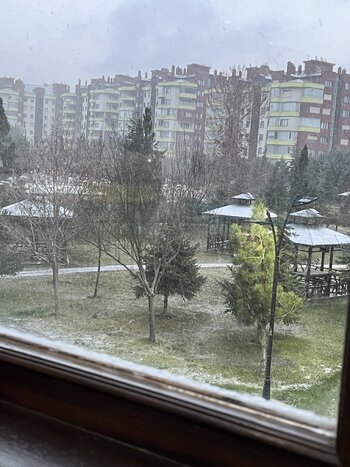 IMG_1992.jpeg
